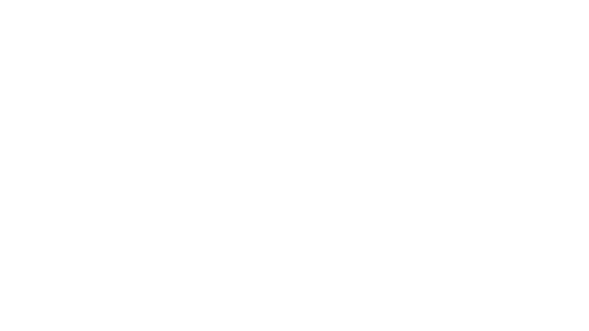 Leadership Program White Logo SJNA
